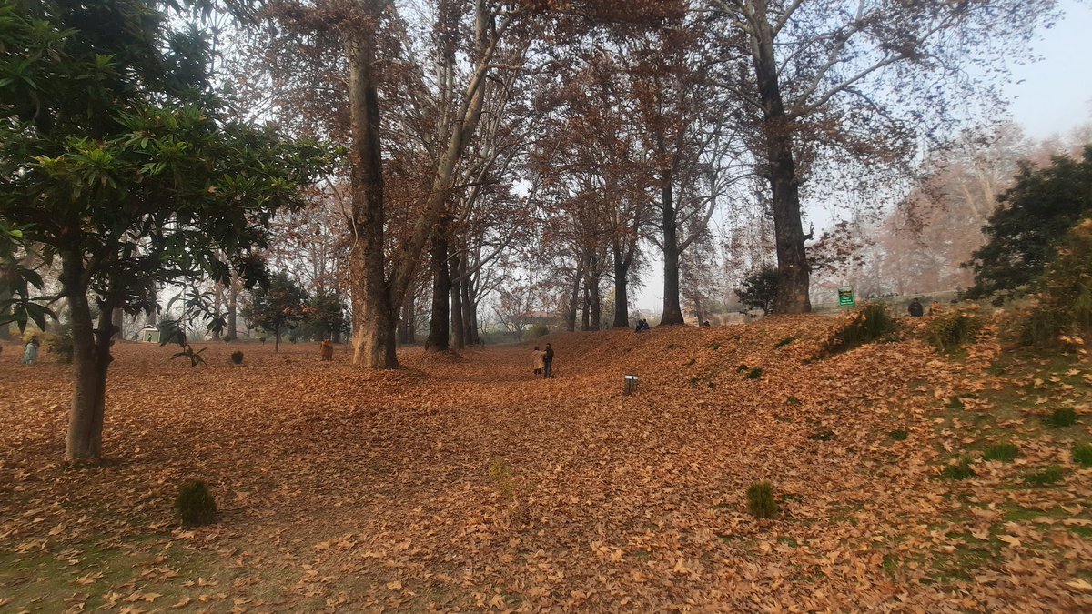 raqibspeaks's tweet photo. @NaveedIqbal Nishat Bagh https://t.co/5TrajSjZl6
