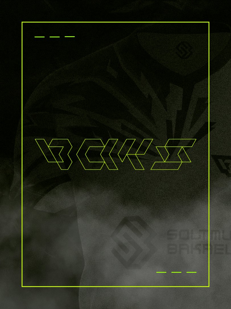 BAKS ESPORTS tweet media