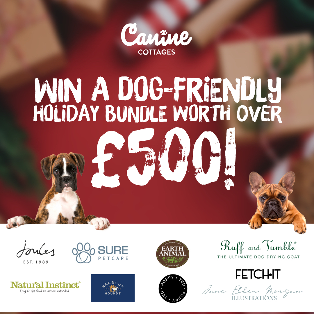 CanineCottages's tweet photo. We're giving away £2,000 worth of prizes every day up until Christmas Day - starting today with a bundle worth over £500! 🎁🎄

To enter today's #competition to win 10 dog-friendly prizes, simply RETWEET and COMMENT where in the UK you'd like to holiday in 2022 🇬🇧

(1/2) https://t.co/qnGIdQFwTe