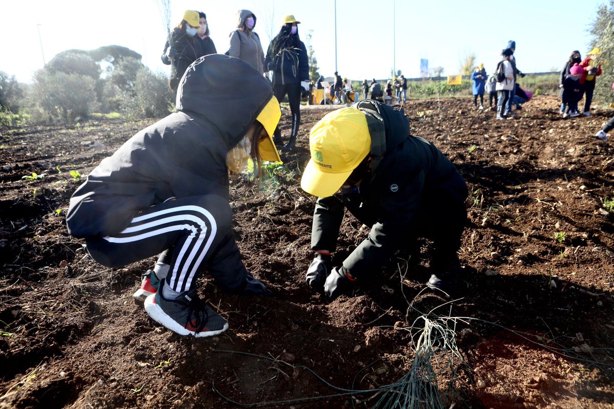 FASTWEB's tweet photo. L'impegno di Fastweb verso un futuro più green prosegue oggi a Bari con la messa a dimora dei primi 1.000 alberi presso il Parco Urbano ASI #befastweb #mosaicoverde https://t.co/lWoB1p902S