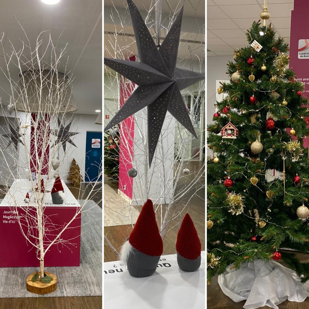 CMB Brest Siam St Martin tweet media