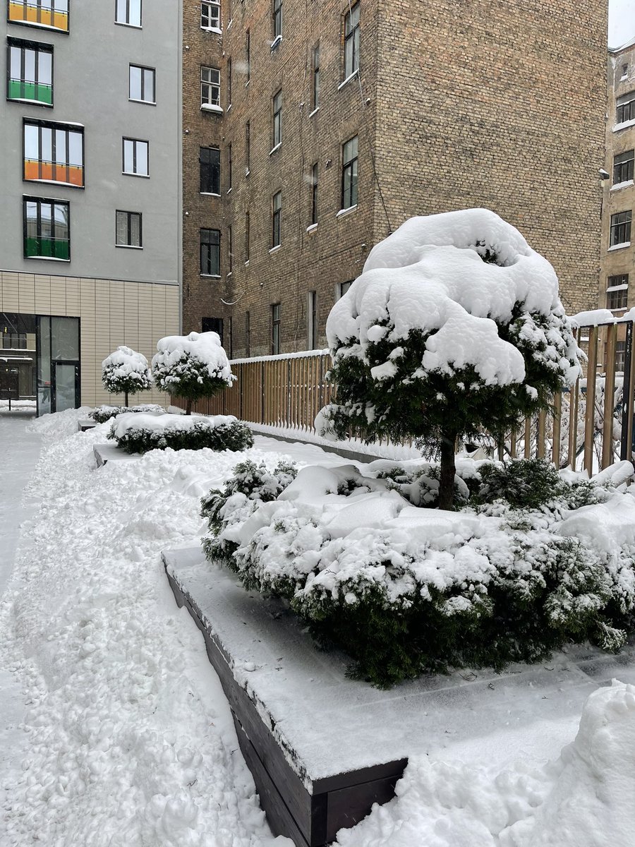 It skaisti! ❄️❄️❄️