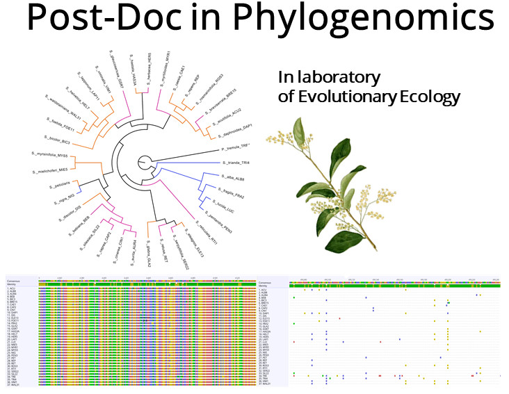 MartinVolf tweet media