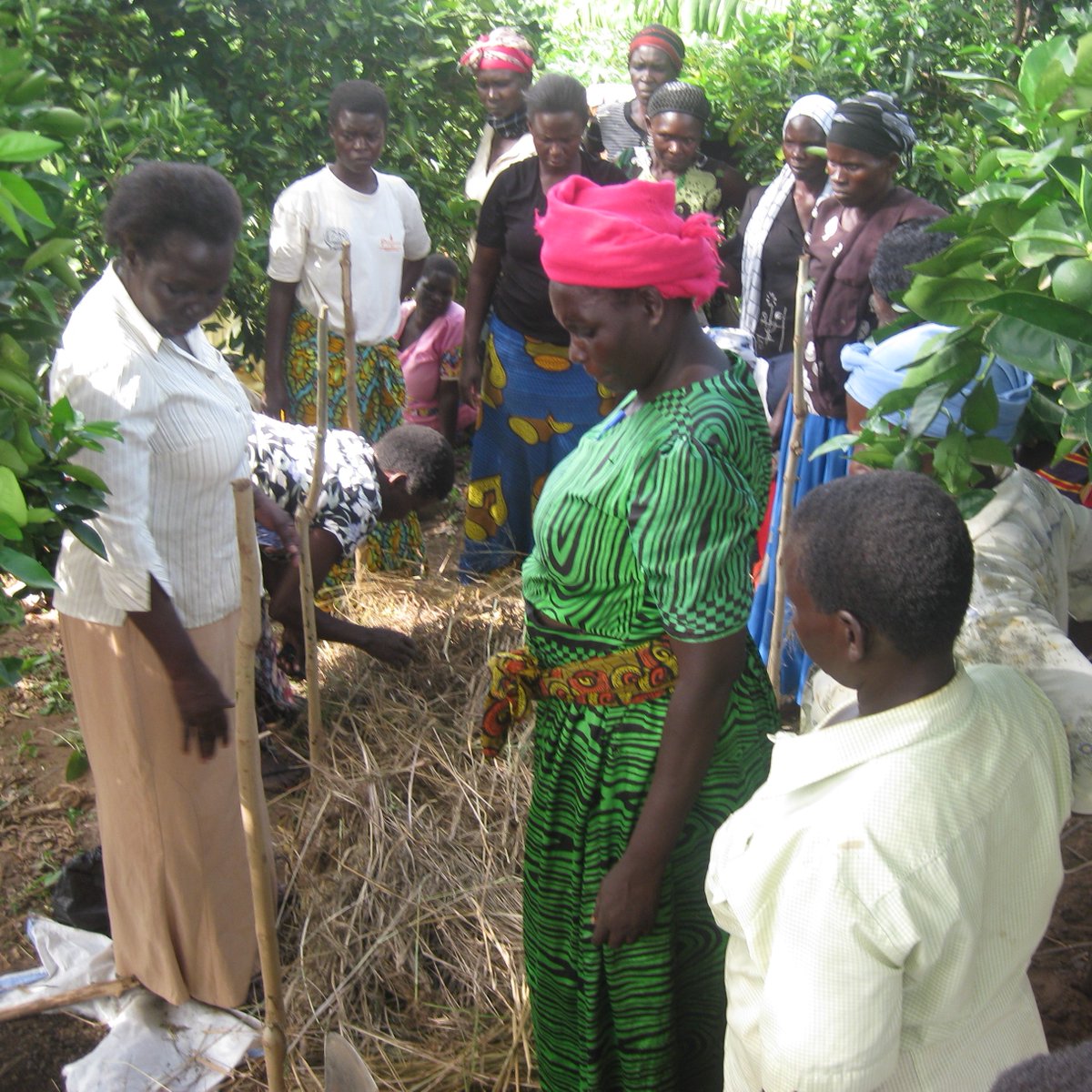 dolenffermio's tweet photo. If we meet our @BigGive #ChristmasChallenge target it will provide Permaculture kitchen garden training for ca.200 participants, eco-brick making training for ca.50 participants, and 2000 tree seedlings to plant at the institute and be used in training 🌱 https://t.co/nmkH35CJhu https://t.co/cM8XHqeIYy