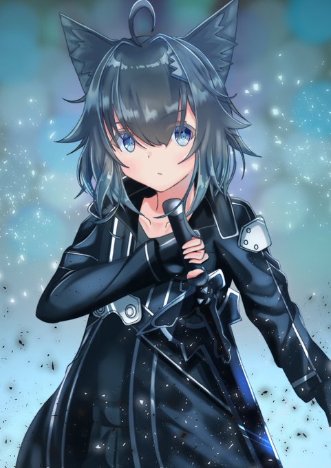 SAO(ソードアートオンライン)×ミーシェ 