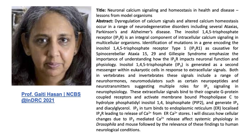 Dr Gaiti Hasan will be delivering talk about Neuronal Calcium Signaling at the Indian Drosophila Research Meeting to be held from 13th to 17th Dec 2021. It will also be streamed live on Youtube! #IndiaDrosMeet2021 #Drosophila #calcium #signaling