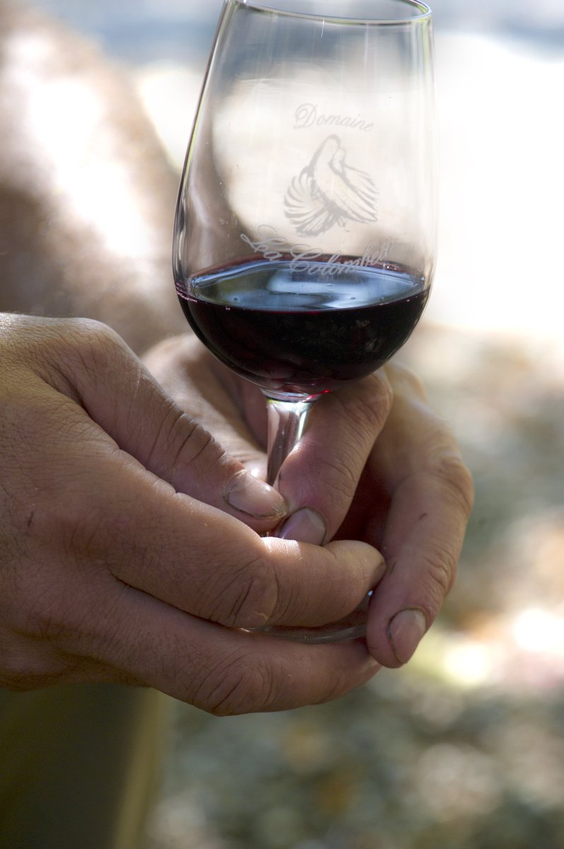 Après avoir vidé la cave de tout notre rouge en cette fin d’année : plus d’inquiétudes ! Le nouveau millésime est en train d’être mis en bouteille et il est très savoureux 👌
#wine #alcoholic_beverage #red_wine #winelover #winetasting #redwine #millesime2020