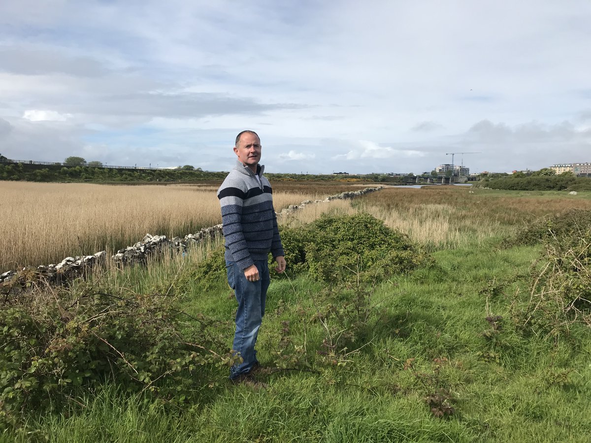 #Rewilding of Lough Atalia!Next Sat morn with #GalwayCommunityCollege supported by GalwayNationalParkCity &amp; its champions. Book a place for you or group by DM in biggest Galway city rewilding project since TerrylandForestPark?<a href="/Aerogen/">Aerogen</a> <a href="/GccFurtherEd/">Galway Community College FE</a> <a href="/galwayscience/">Galway Science & Technology Festival</a> <a href="/dominicangalway/">Dominican College Galway</a>