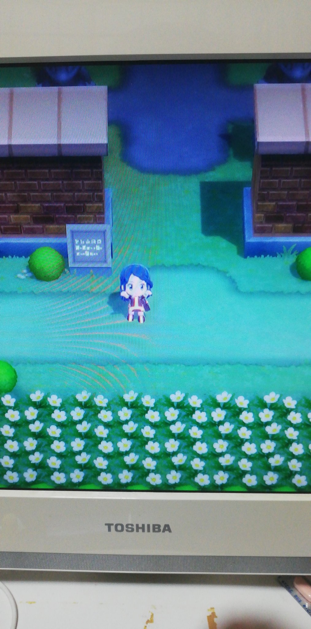 アクトレイア ポケモン屋敷まで到達しての感想 全然覚えてないwダイパの中間の名前覚えてないなぁはやったはず だから石像波乗りは覚えてるw ポケモンブリリアントダイヤモンド T Co 0cc5h6x9rl Twitter