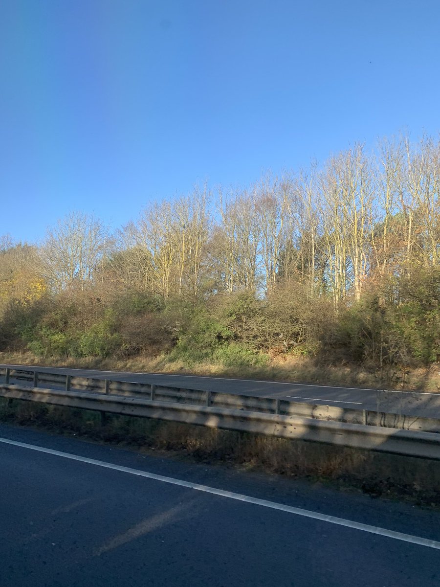 Tim Burgess tweet media