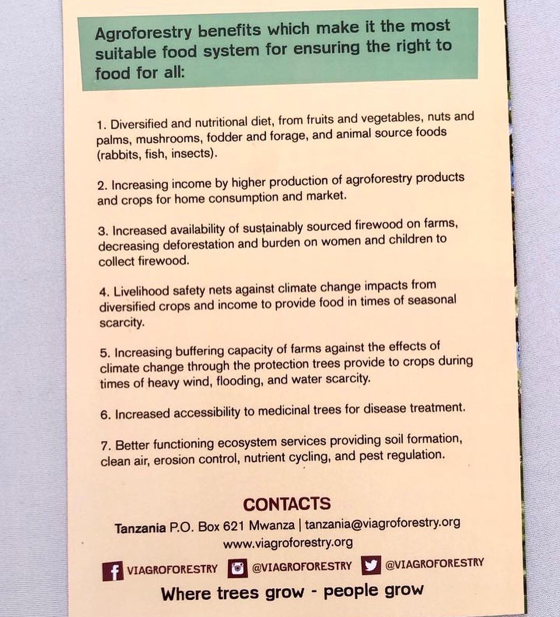 ViAgroforestry's tweet photo. Vi Agroforestry Tanzania launches "Agroforestry for the Right to Food" national sub-campaign at the ongoing 
#viagroforestrysymposium21 in Musoma Tanzania 🇹🇿 #viagroforestrytz
#foodsecurity 
#kilimomseto 
#agroforestry 
 #humanright
#agriculture https://t.co/41SLRQyjxa