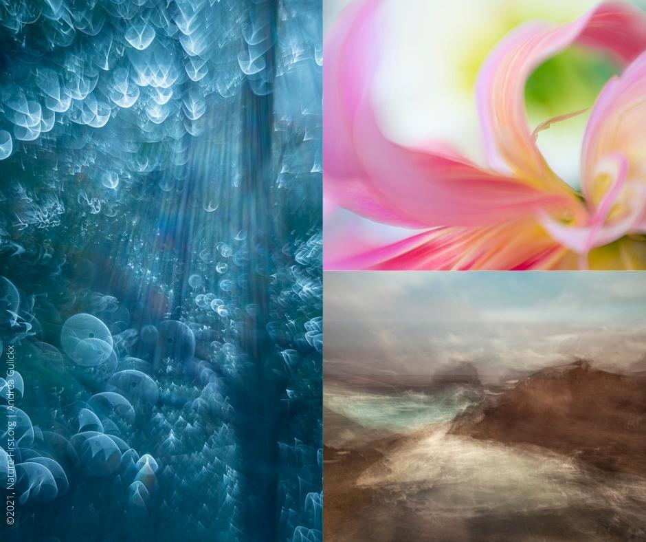 Nature First interview, read all about why; 
- rain pants are better than garbage bags,- she regrets sharing a location near Utrecht in the Netherlands on social media, - she is more aware now than when she started. 
Eng: naturefirstphotography.org/en/news-items/… 
Dutch: naturefirstphotography.org/en/news-items/…