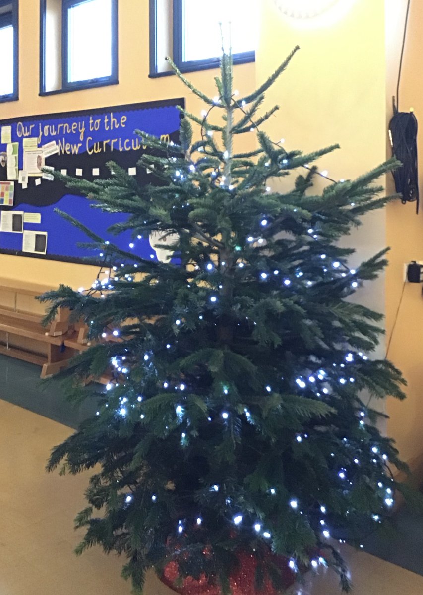 Mary Immaculate Catholic Primary School tweet media
