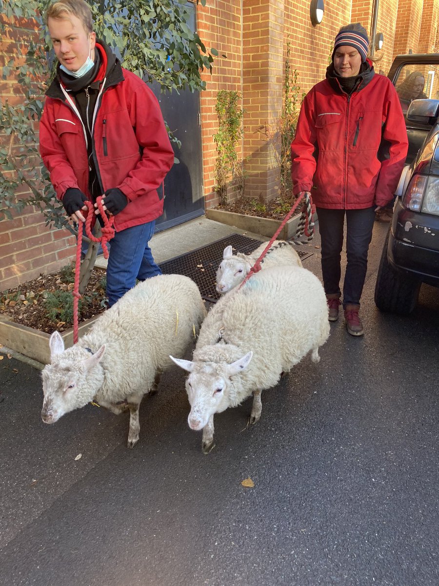 @Estates_WHS tweet media