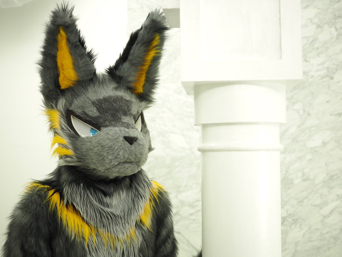 黎牙🦈🪷 tweet media