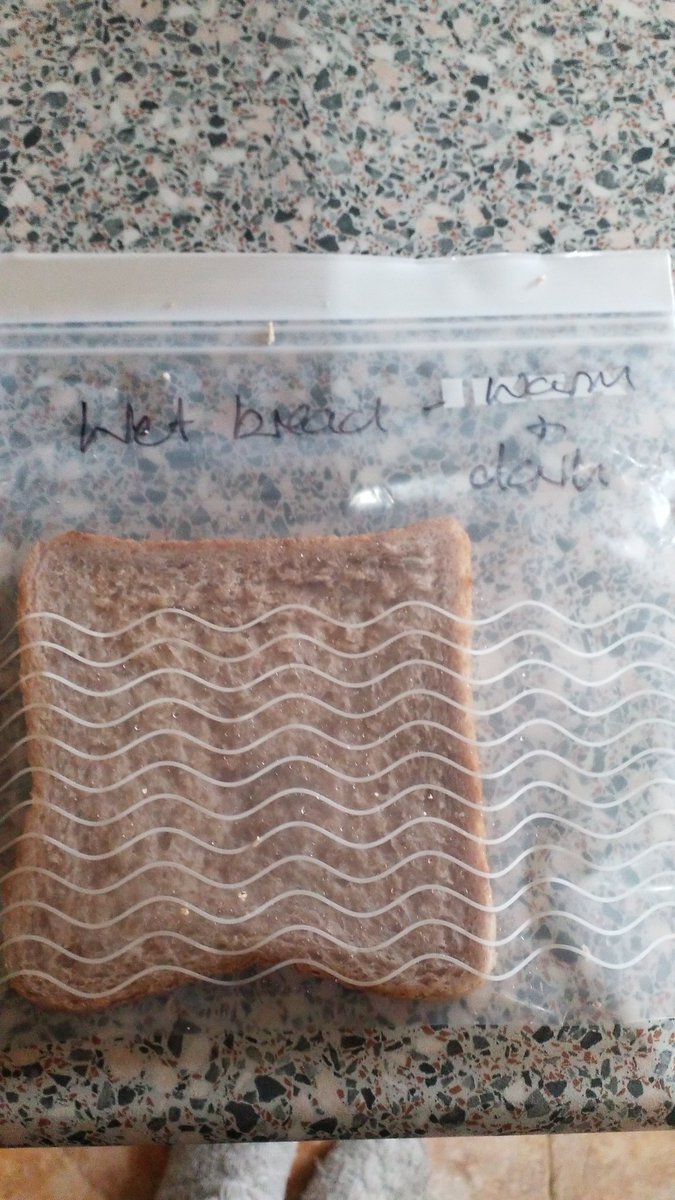 MichaelMorpurgoClass tweet media