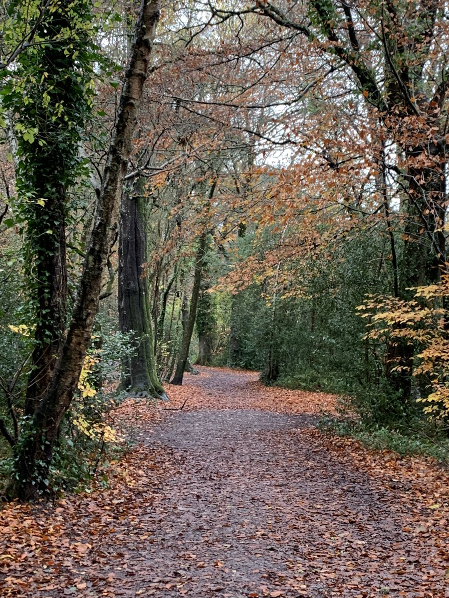 WorksWalking's tweet photo. Listen to @BBCDevon on Monday morning to listen to @Trewern_K & I talking to the lovely @AlisonJohns6 about the benefits of walking in winter! #WalkYourWay in Winter #ConnectingActivelyToNature #EveryoneNeedsNature #Undefeatable https://t.co/UajdZkmdwc