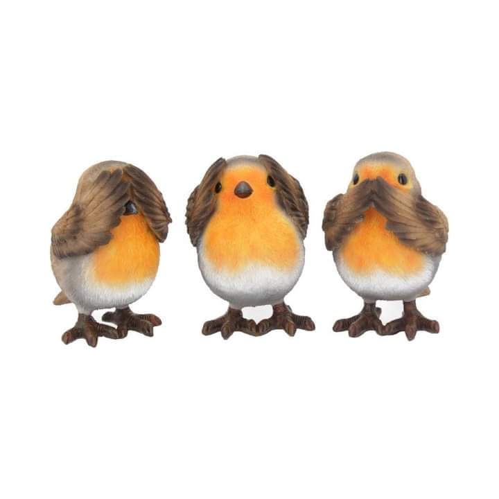 TChestonline's tweet photo. #ShopSmall #SupportSmallBusiness #Sheffield #sheffieldissuper #xmasgifts #supportlocalbusinesses #smallbusinesssaturday2021 

Thank you to all our customers for the support,   you are very much appreciated ❤

Open today 10am -5pm ❤🎁🎄 https://t.co/AWlg3USpSF