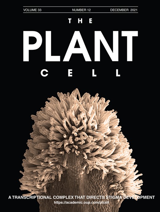 My first cover (believe it or not after all these years...)! Bonica, eh? <a href="/PattBallester/">Patricia Ballester</a> <a href="/cariboo_design/">Cariboo Design</a> <a href="/ManuelRocon/">Manuel Rodriguez-Concepcion</a> <a href="/FerrandizLab/">FerrandizLab</a> <a href="/IBMCP/">IBMCP - Instituto de Biología Molecular y Celular</a>