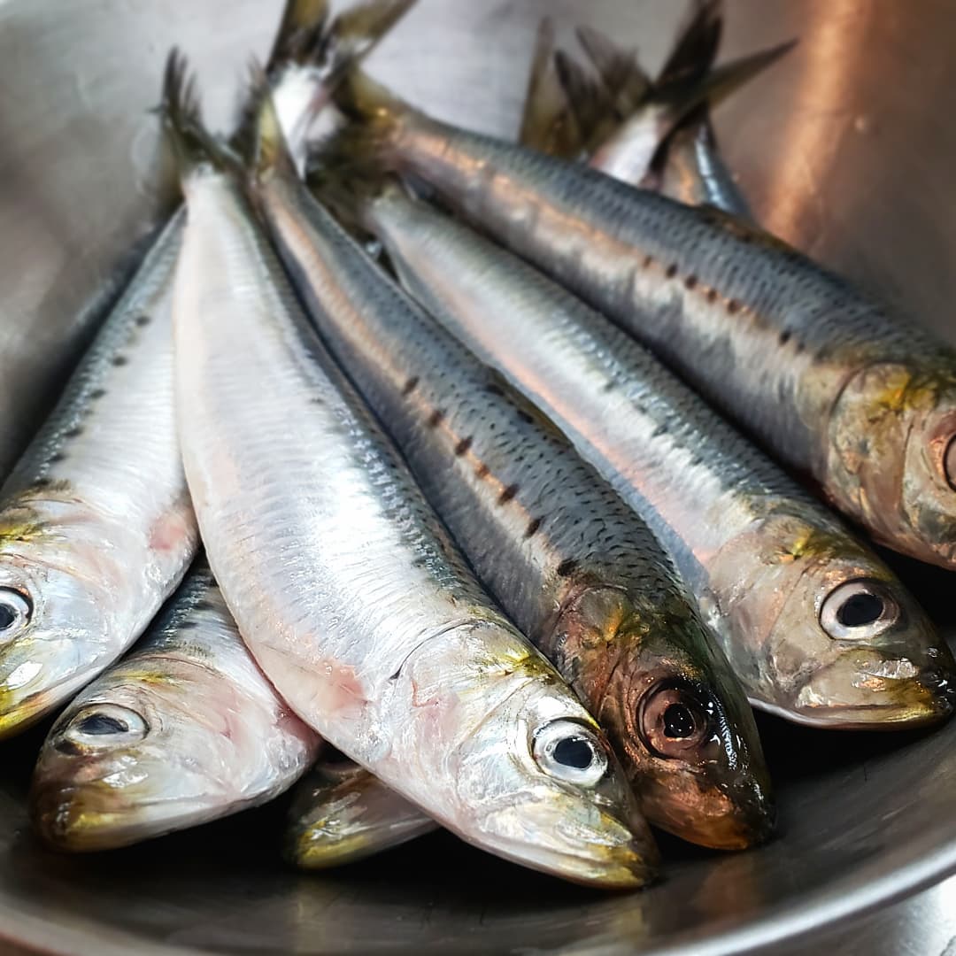 Anchovies Twitter Search Twitter