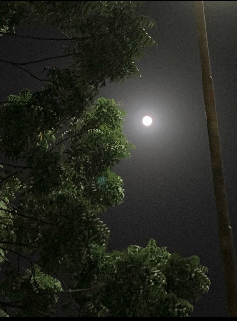 1_3bw's tweet photo. @iih4u متأخره🤪🤍 https://t.co/Z5goNveWW3