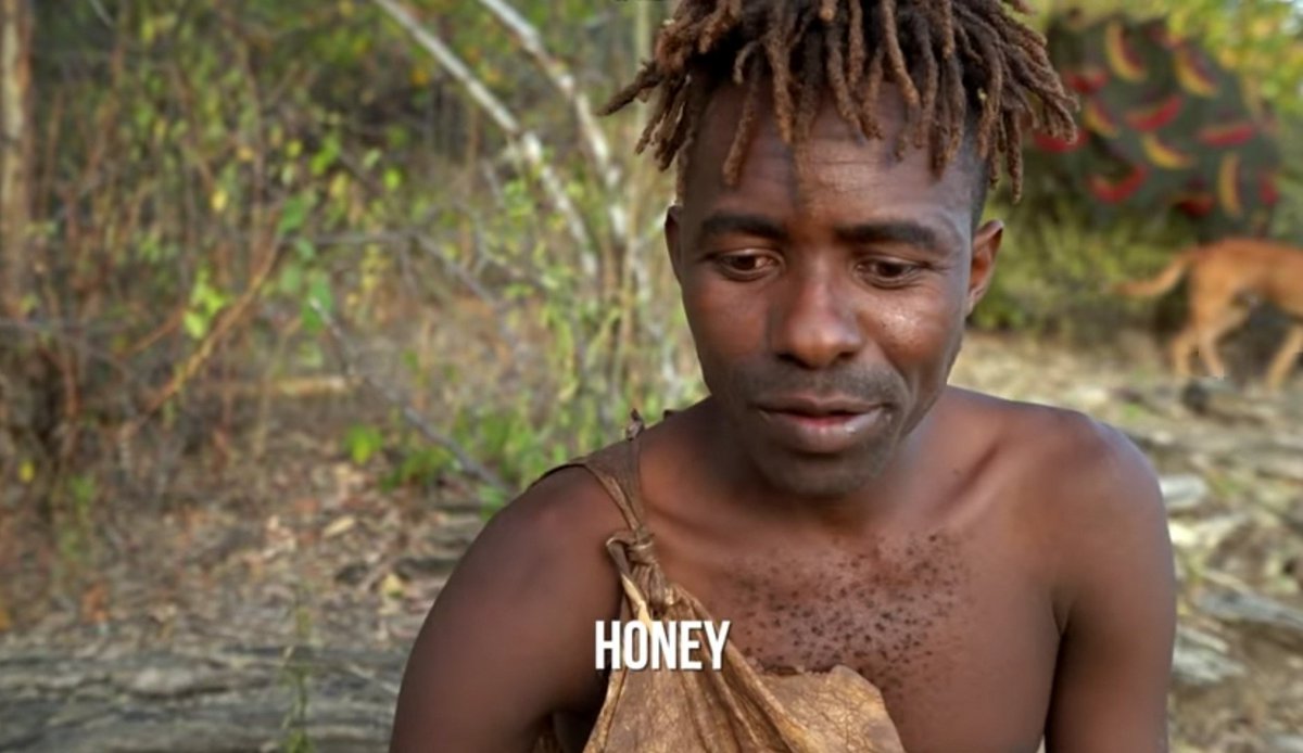 Bronze Bomber (bronzedan19) Twitter