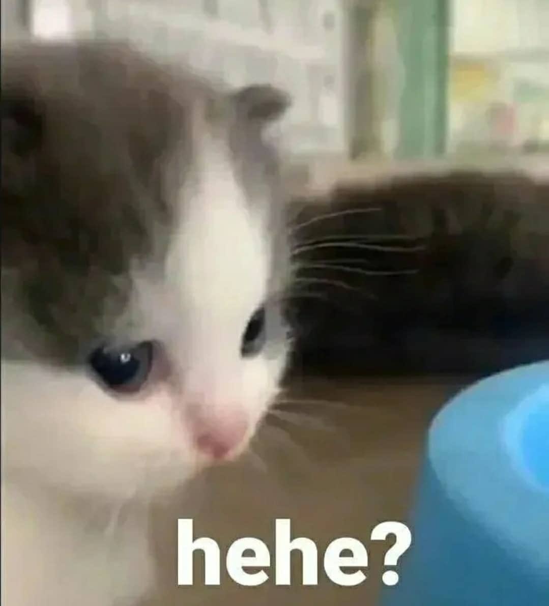 Sᴀsʜᴀ (@scamsandflowers) on Twitter photo 