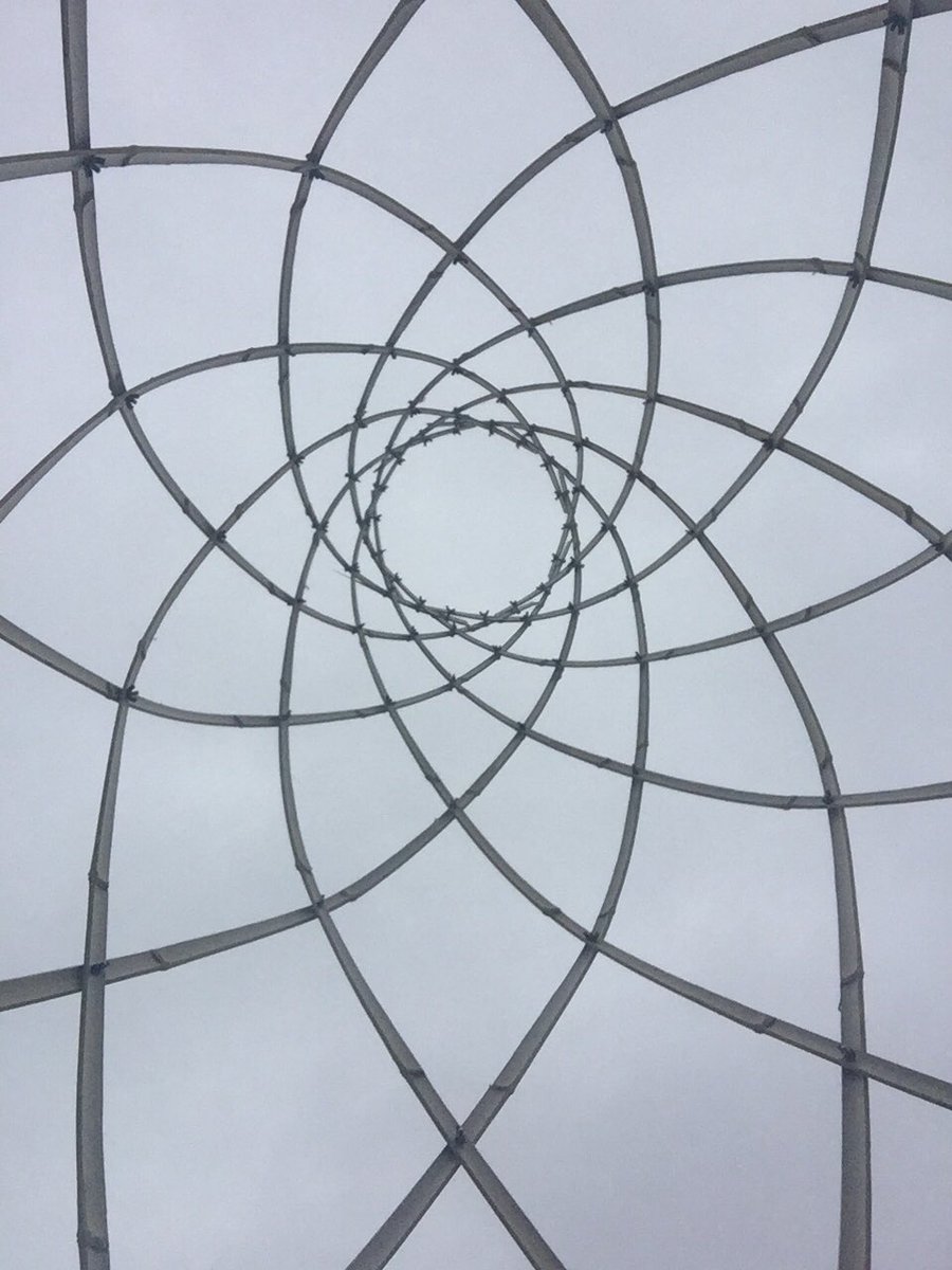 alisonmartin57's tweet image. Bamboo shapes - December sky #bamboostructure