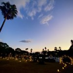 ツイートに含まれる画像