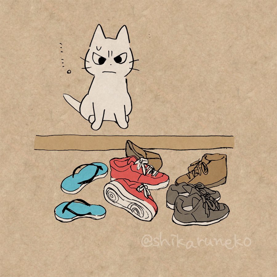 靴を散らかし放題な人を叱ってくれる猫 