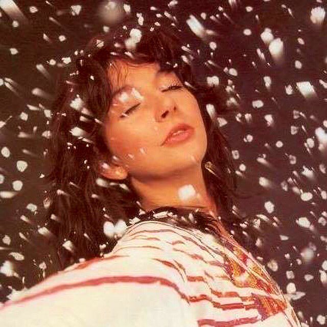 FishPeople Kate Bush tweet media