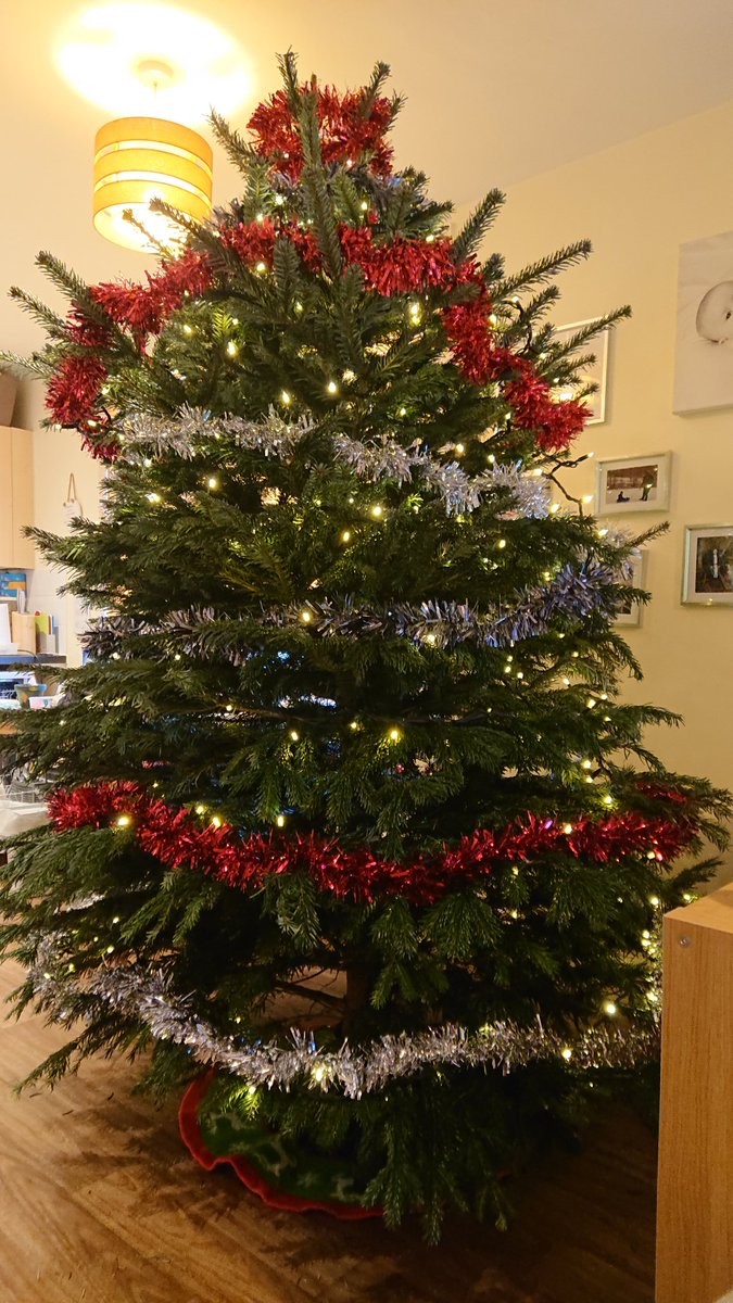 cprmustang's tweet image. Our Christmas tree so far