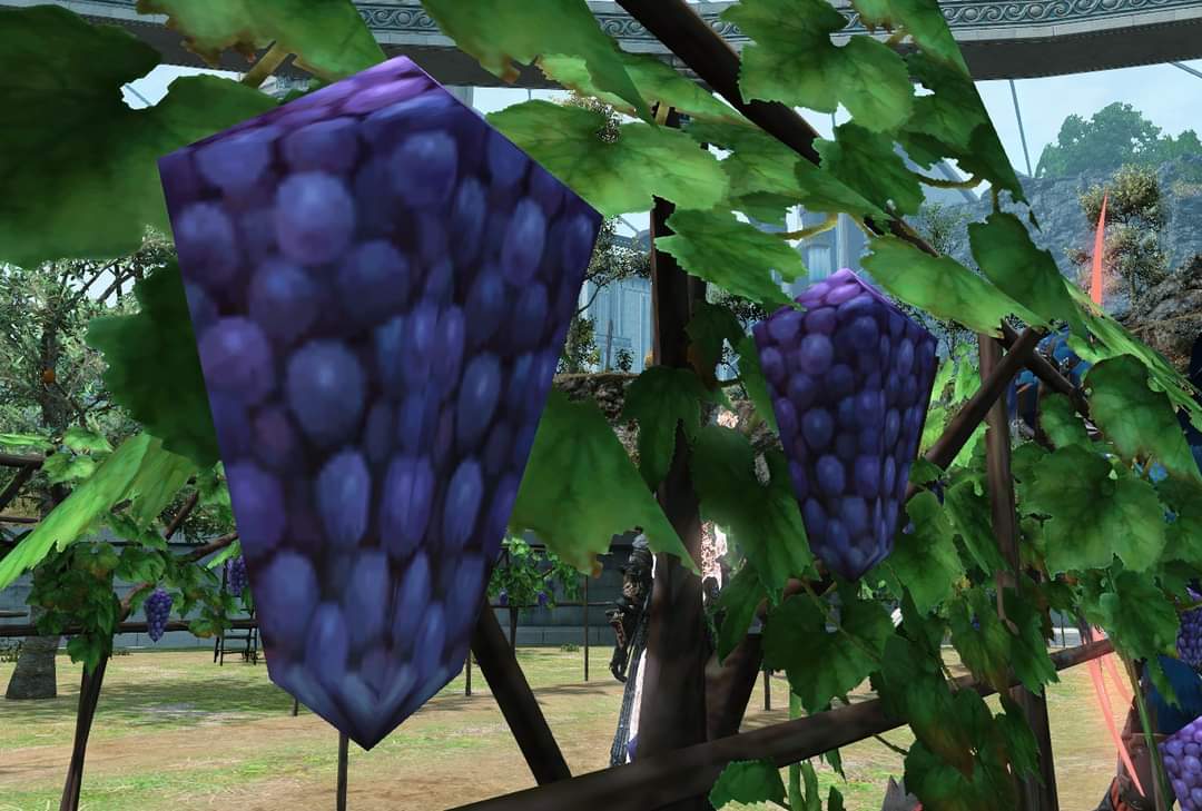 SoSleepyMoogle's tweet image. The sheer a u d a c i t y of this model of grapes in Endwalker. #FFXIV #ffxivendwalker #ffxivmemes