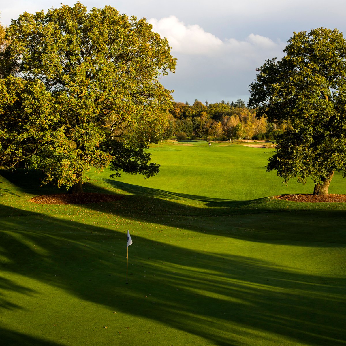 📣 Help jij mee om het imago van golf in Nederland in kaart te brengen?

Onder de deelnemers worden greenfees verdeeld voor Golfsociëteit De Lage Vuursche 🤩  
👉🏼 👉🏼 bit.ly/3rwWdi5