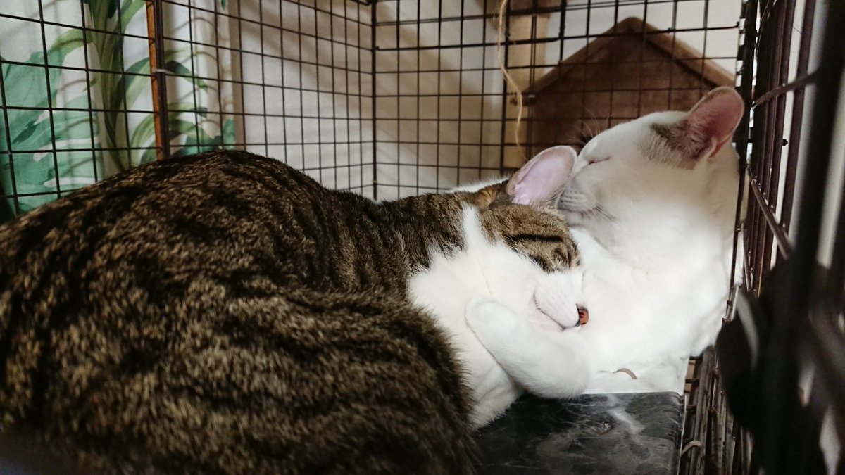 この可愛さ伝わってー♥️