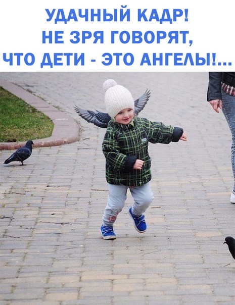 Мысли для души (@myslidlyadushi) on Twitter photo 
