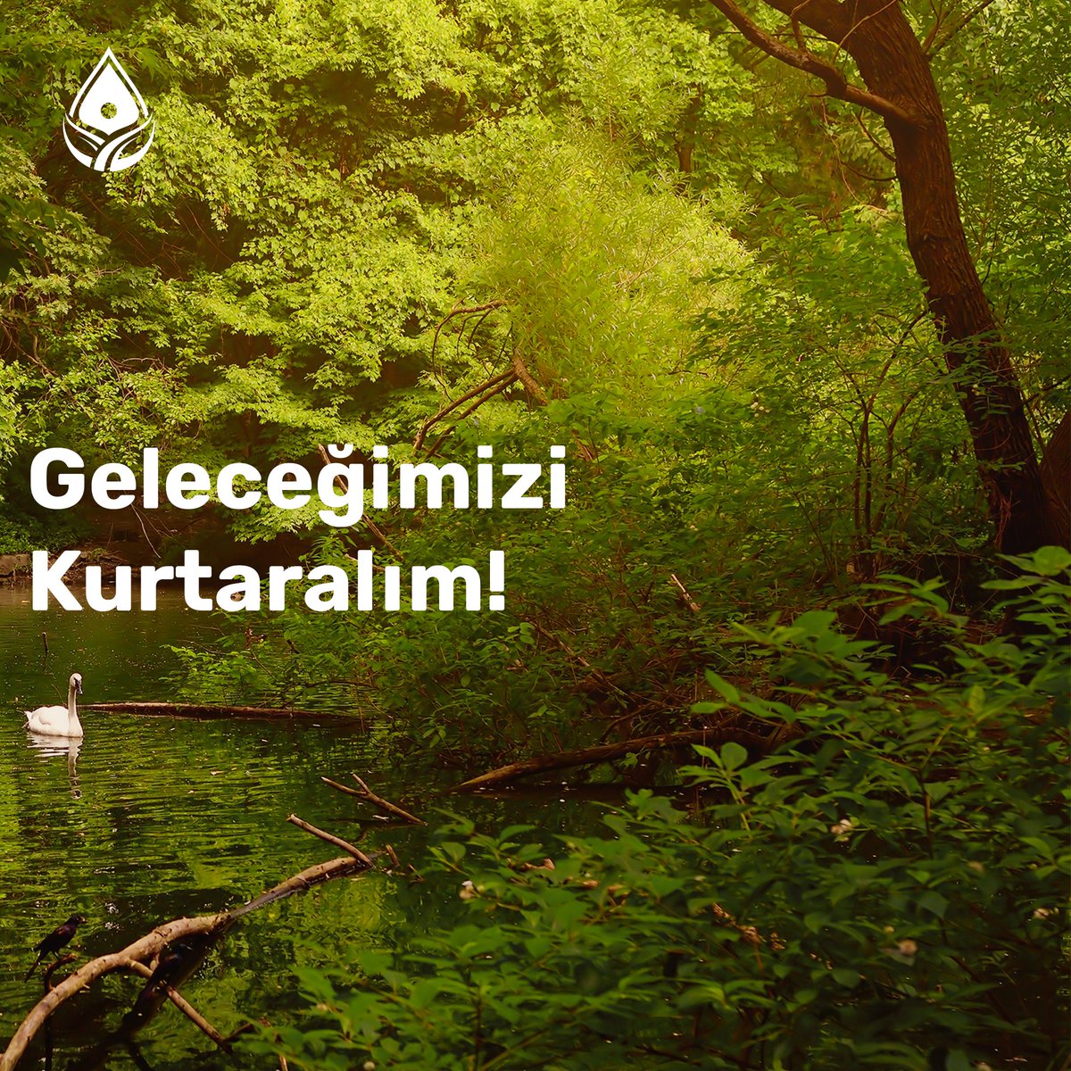 Gristektr's tweet photo. Dünya Sağlık Örgütü, 2025 yılına kadar dünya nüfusunun yarısının su sıkıntısı çeken bölgelerde yaşayabileceğini belirtiyor. Bunu için suyumuzu koruyalım, geleceğimizi kurtaralım.

#gristek #grisu #sugeridönüşümü #grisuteknolojileri #Türkiyeninsuyunukoru 💧 https://t.co/yIqyAPkMV1