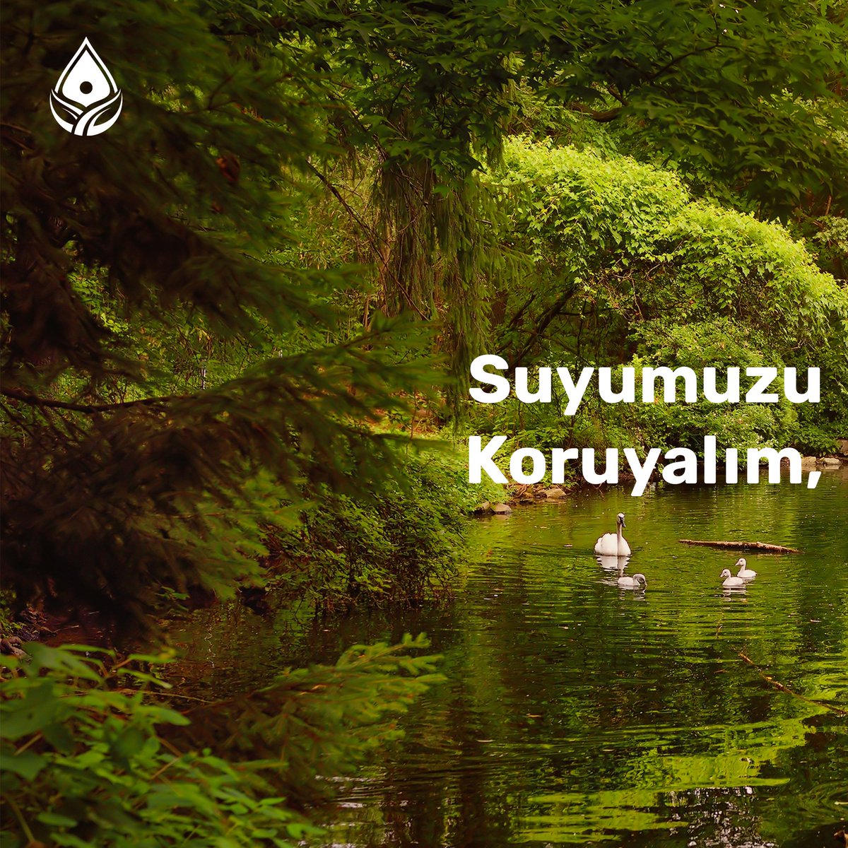 Gristektr's tweet photo. Dünya Sağlık Örgütü, 2025 yılına kadar dünya nüfusunun yarısının su sıkıntısı çeken bölgelerde yaşayabileceğini belirtiyor. Bunu için suyumuzu koruyalım, geleceğimizi kurtaralım.

#gristek #grisu #sugeridönüşümü #grisuteknolojileri #Türkiyeninsuyunukoru 💧 https://t.co/yIqyAPkMV1