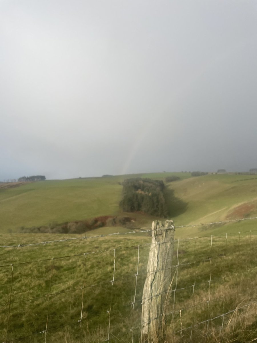 ShropshireWild1's tweet photo. Currenty out sab/monitoring the United nr Bishops Castle with Shropshire Wildlife Protection - very windy conditions #sabthehunt #banthehunt #wildlifecrime 🦊 https://t.co/l5GNzJtV94