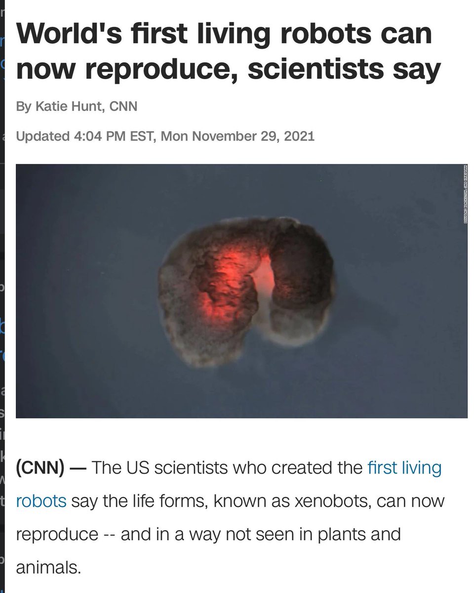 KhushiR61893589's tweet image. Just the words “living” and “robots” together is freaky af 😂 
#CNN #livingrobots