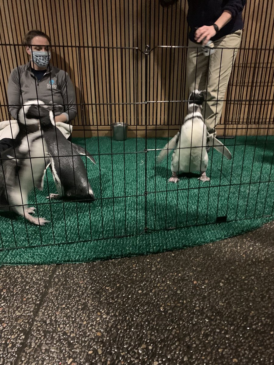 Gerald W. Napleton tweet media