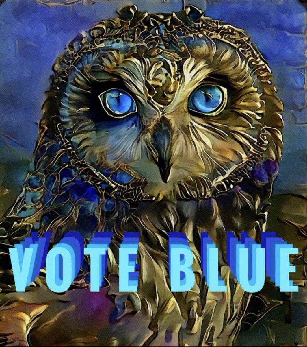 mostra4u's tweet photo. #VoteBlue2022
#VoteToSaveDemocracy
#VoteForJLVotingRightAct
#VoteForAbortionJustice
#Equality #VoteToPassBBB #VoteForWomenRights
#VoteForClimateChange
#VoteEndOrFixTheFilibuster #VoteToSaveAmericaFromFascism https://t.co/O2e7uJmxQw