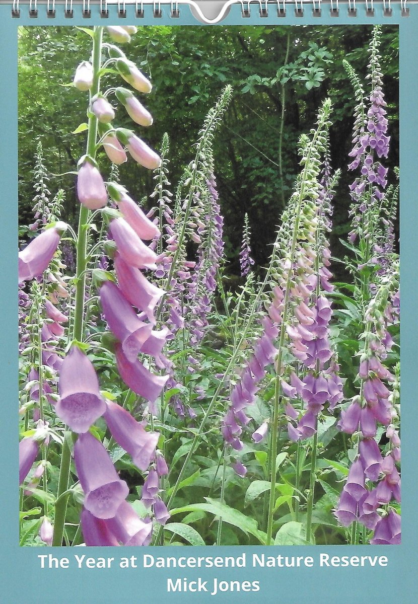 Mick Jones tweet media