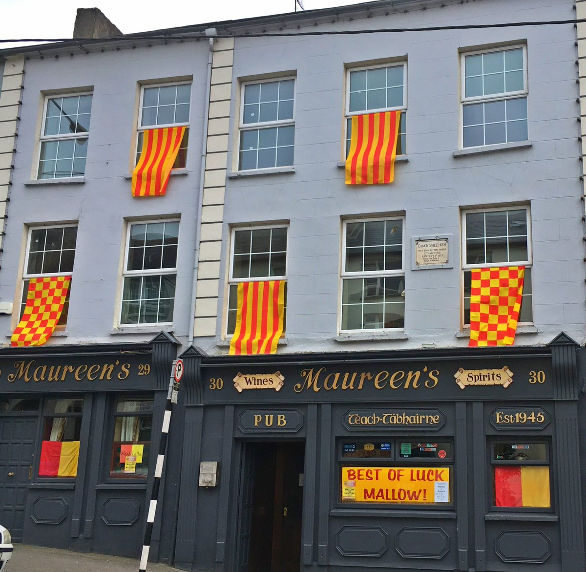 Mallow GAA Sports Complex tweet media