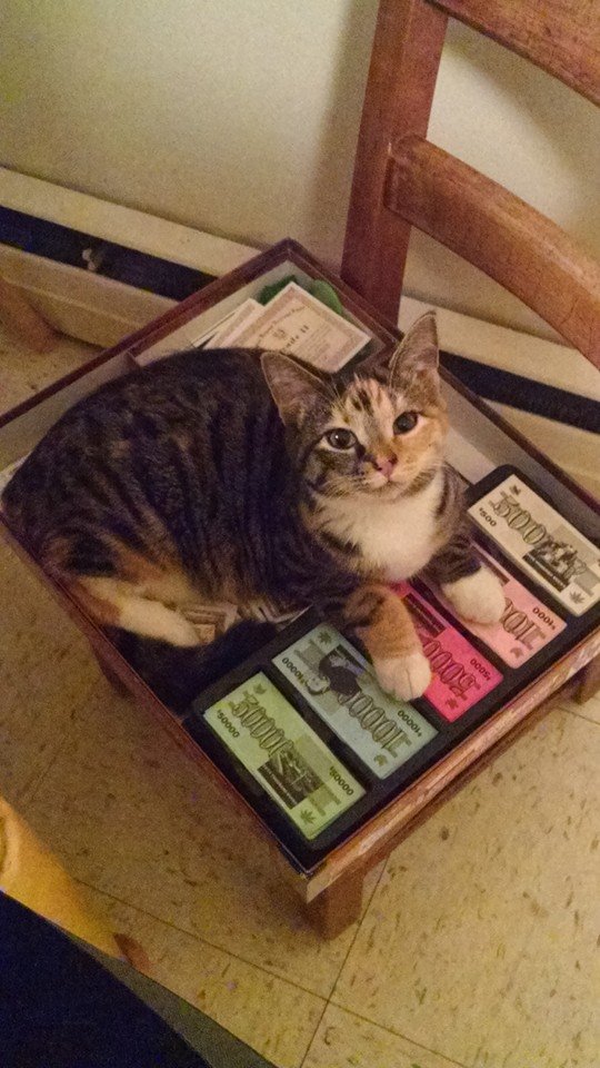 High Roller Games tweet media