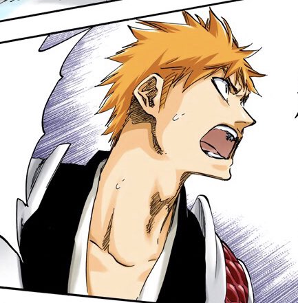 🍓: O-old man zangetsu !