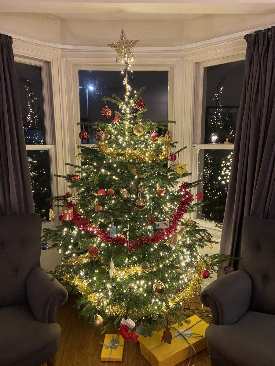 agcolehamilton's tweet photo. Sheโs up! Glad tidings of great joy. ๐ฅฐ๐#tweetyourtree #Christmas https://t.co/NEYuAnp4gf