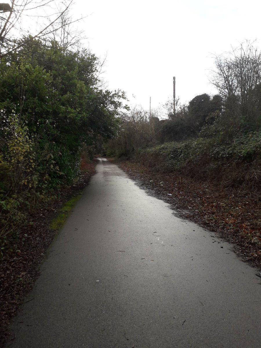 therichastill's tweet photo. Today I revisited the #AlbanWay from #Hatfield to #StAlbans. Great walk with a variety of scenery.
I love the way the light bounces off the street art. https://t.co/sV97Cme4tO