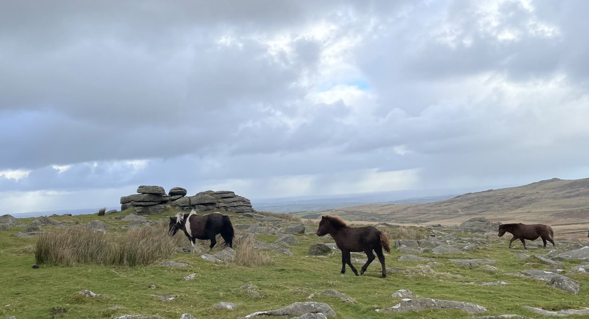 Shebbear Sport and Outdoor Education tweet media