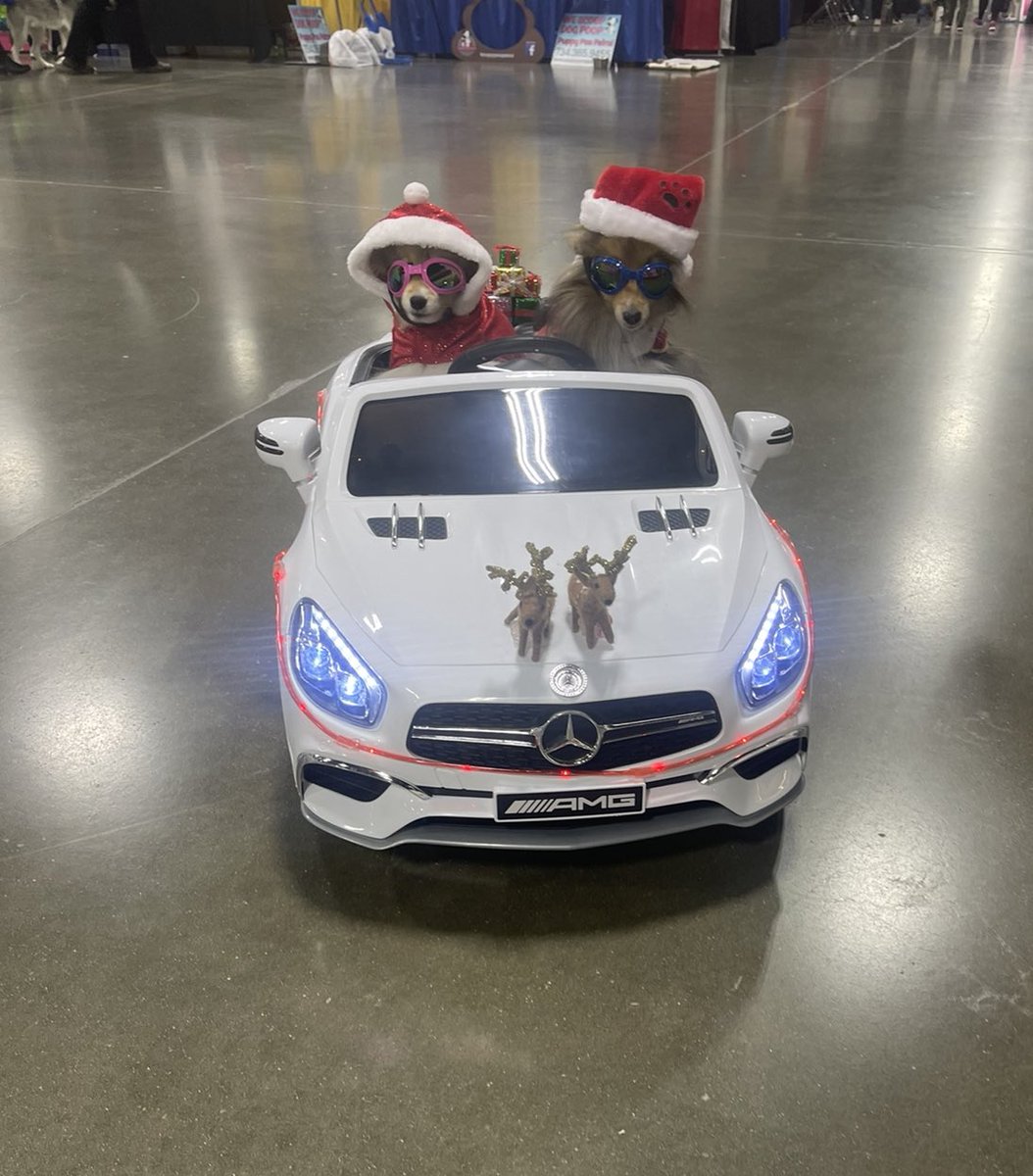 Riding in style at the Pet Expo